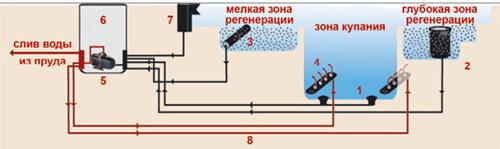 Подбор системы фильтрации для пруда